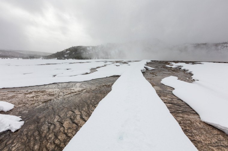 53 Yellowstone NP.jpg